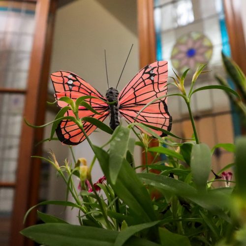 WhatsApp-Image-2025-10-02-at-4.50.21-PM-1