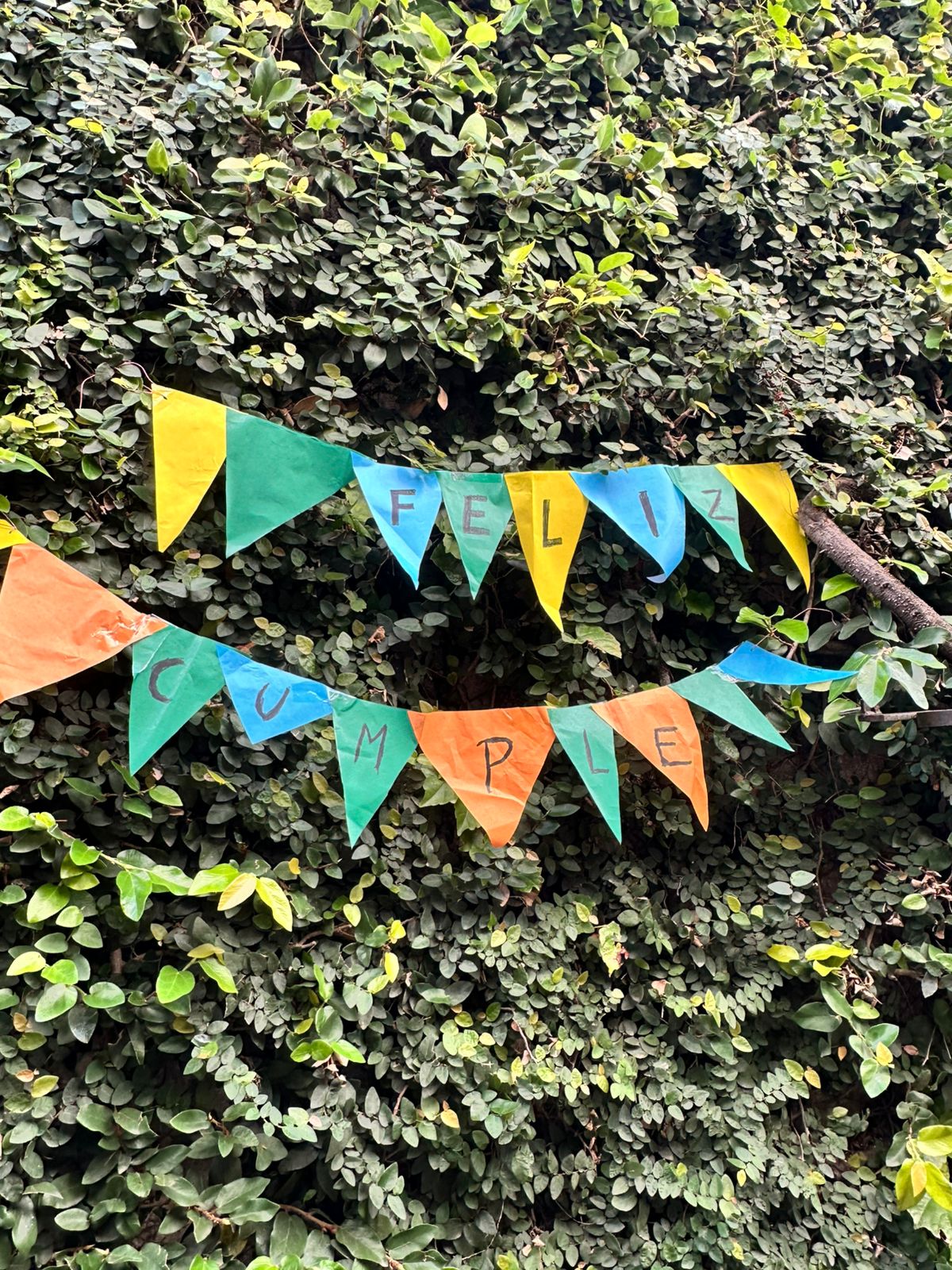 WhatsApp Image 2026-04-09 at 2.15.12 PM (1)